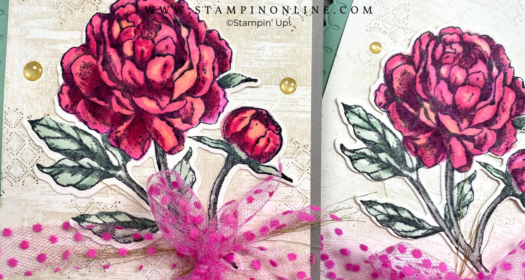 Prized Peony Blends Coloring Tutorial Stampin' Up!